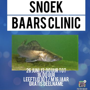 26 juni 2021 | Snoekbaars clinic