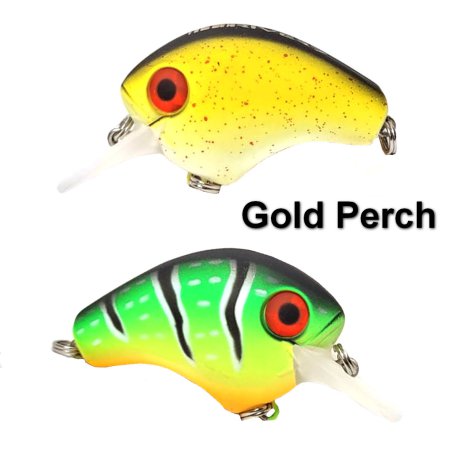 Gold-Perch