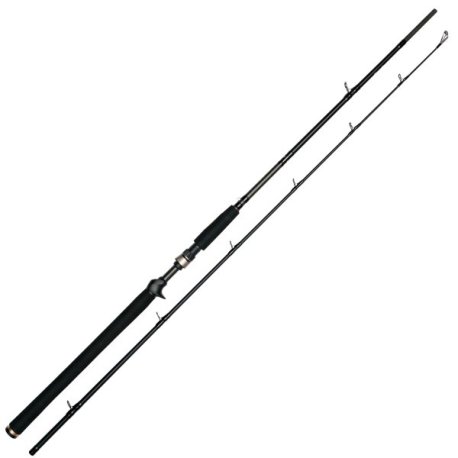 W350-0662_Jerkbait-T 2nd_X1