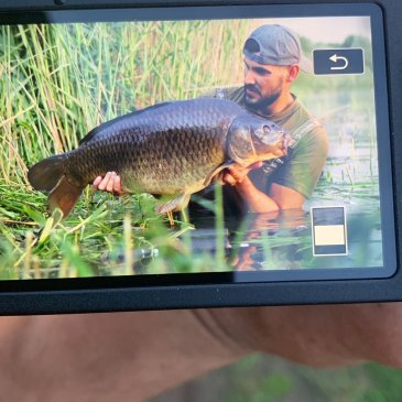 Penvissen op karper